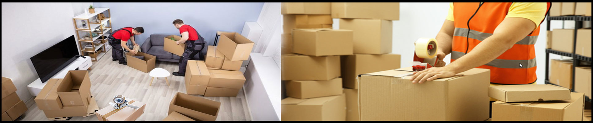 Packers And Movers Noida Sector 100